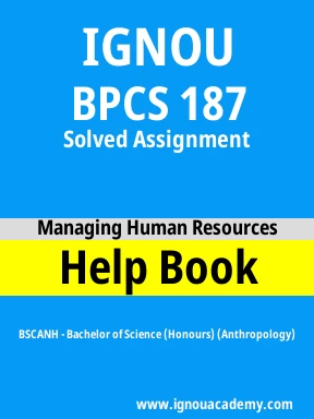 BPCS 187 Solved Assignment