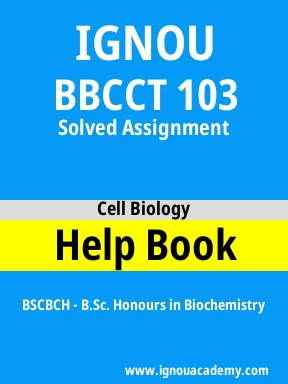 BBCCT 103 Solved Assignment