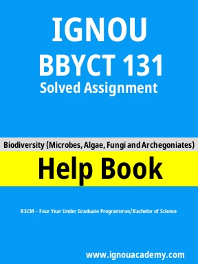 BBYCT 131 Solved Assignment